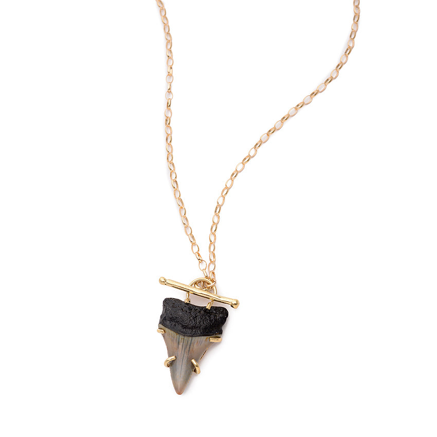 Shark&#39;s Tooth Necklace